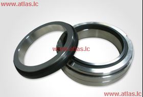 EagleBurgmann Type H12N O-ring Mechanical Seal